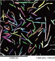 Fiber Isolation