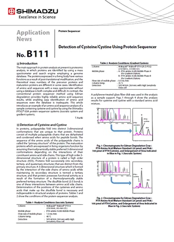 Detection of Cysteine/Cystine Using Protein Sequencer