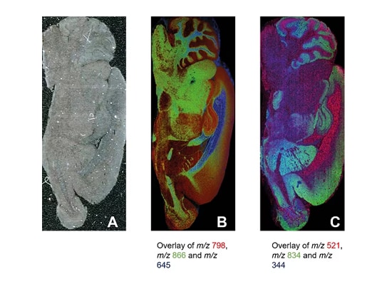 Fast, easy acquisition of high-grade images and data