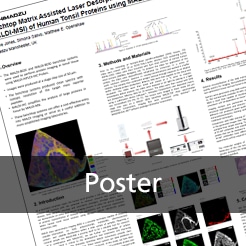 Benchtop Matrix Assisted Laser Desorption Ionisation Mass Spectrometry Imaging
(MALDI-MSI) of Human Tonsil Proteins using MALDI HiPLEX-IHC Probes