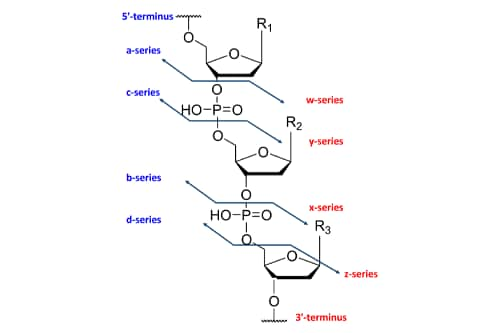 Intro to Oligonucleotide Analysis