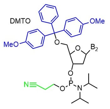 Figure 3. DNA base with 5’ dimethoxy trityl (DMTO) protecting group in blue and 3’ β-cyanoethyl ester protecting group in green.